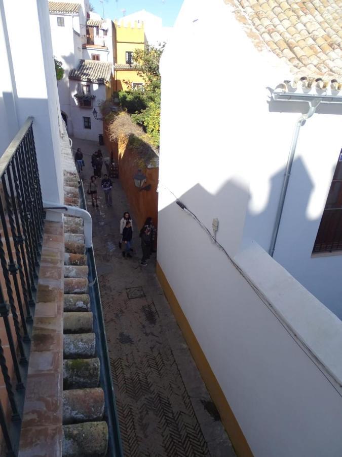 The Wall Of The Alcazar Palace 塞维利亚 外观 照片