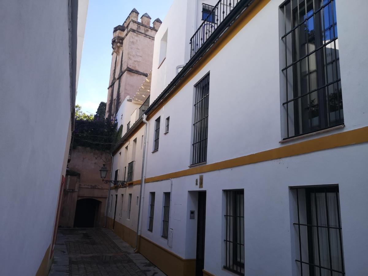 The Wall Of The Alcazar Palace 塞维利亚 外观 照片