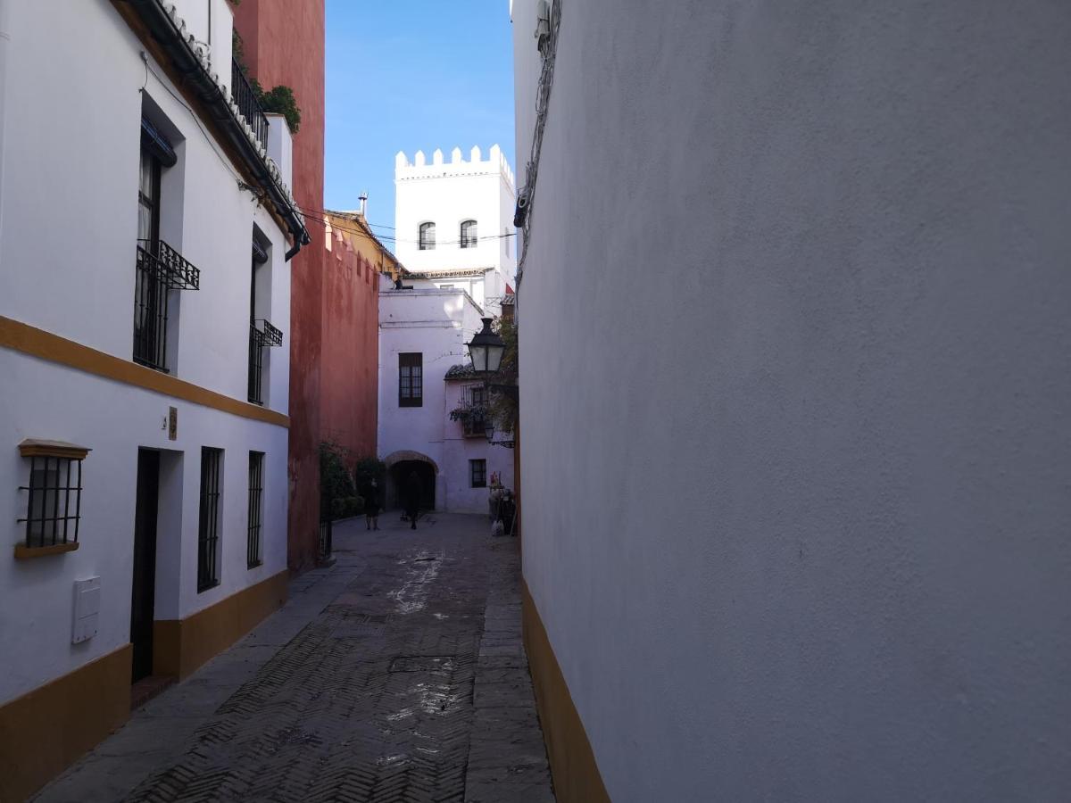 The Wall Of The Alcazar Palace 塞维利亚 外观 照片