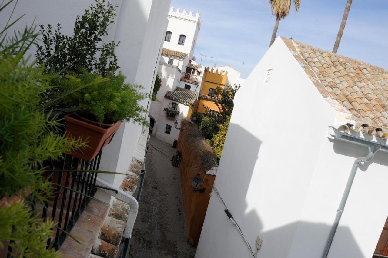 The Wall Of The Alcazar Palace 塞维利亚 外观 照片